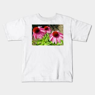 Pink and Purple Echinacea Cone Flower Macro Kids T-Shirt